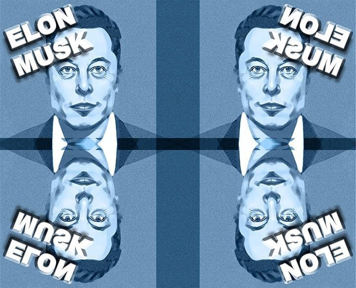 Elon Mirror 2