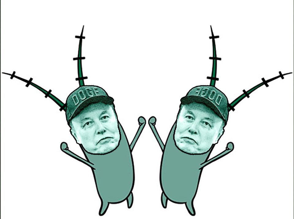 Plankton Elon